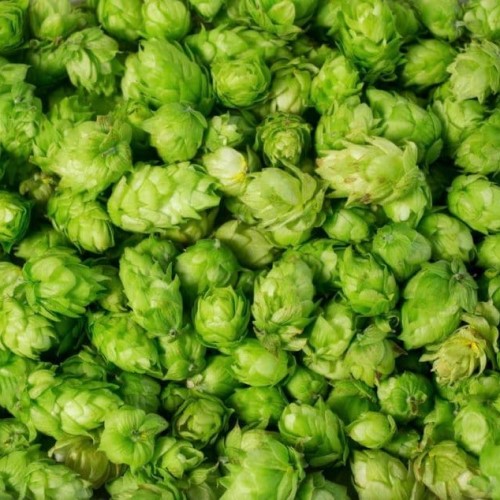 Whole Hops