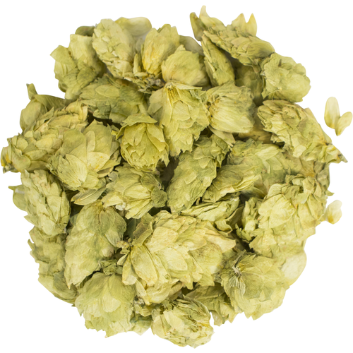 Simcoe (US) 2oz Whole Hops – Artisan