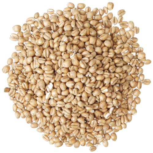 Torrified Wheat - Briess Malting (bag)