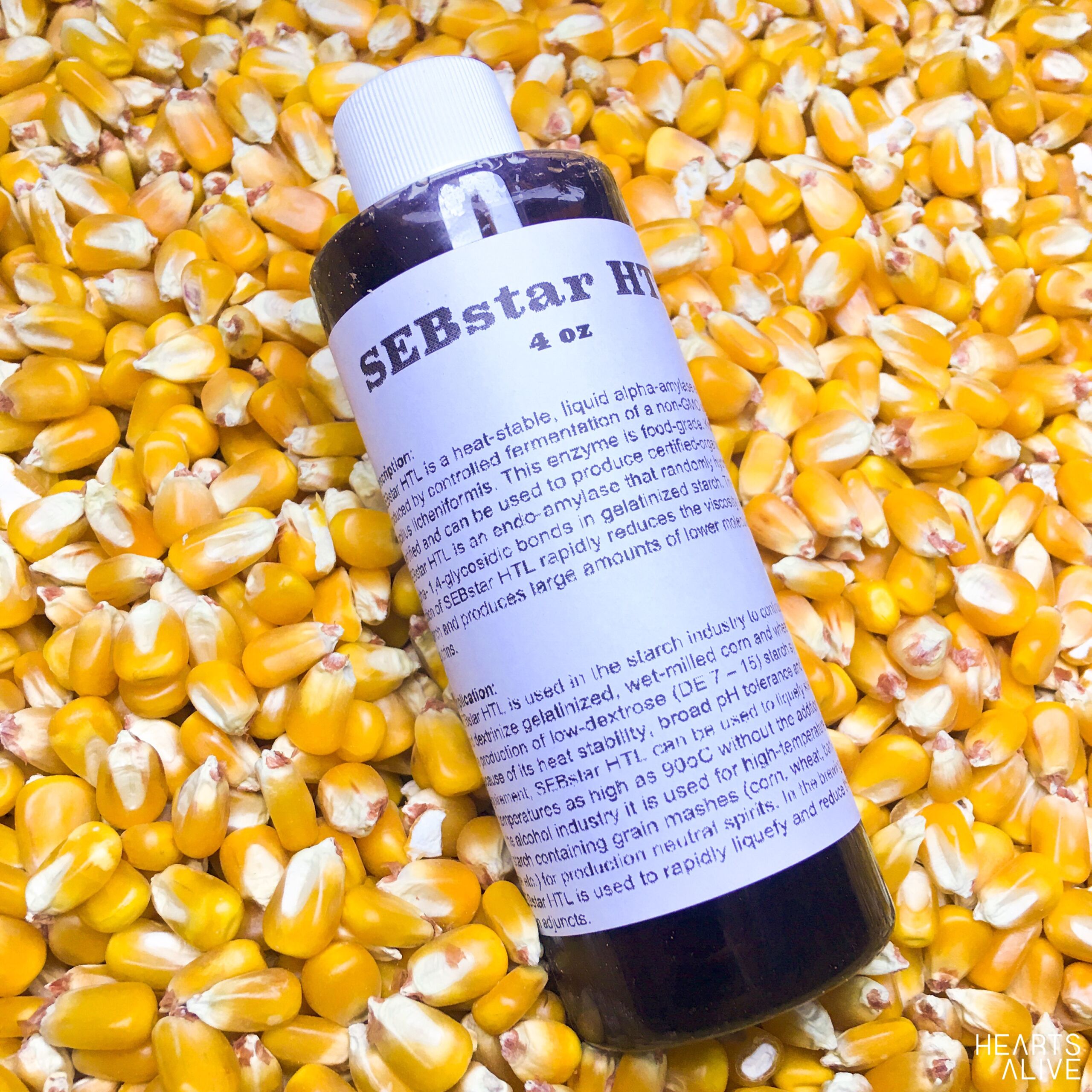 SEBstar HTL – High Temperature Enzyme